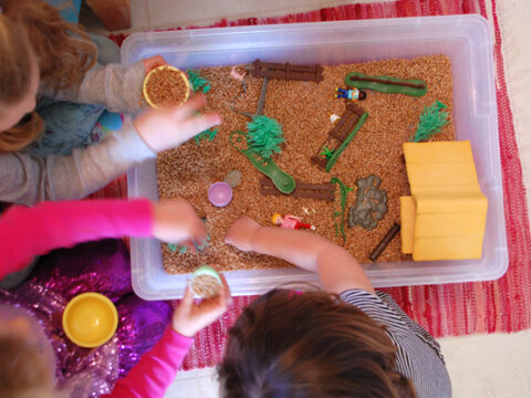 Image for Sensory Activity: Wheat Berries