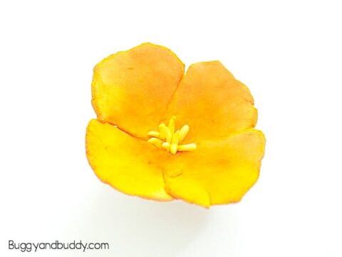 Image for California Poppy Flower Magnets Craft