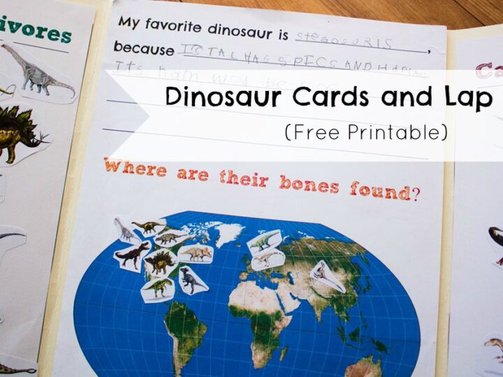 Image for Dinosaur Cards and Lap Book