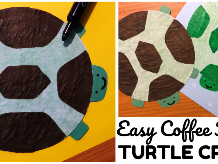 Image for Coffee Filter Turtle Craft