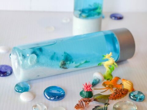 Image for Mini Aquarium in a Bottle Activity