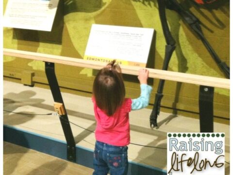 Image for Preschool Science: Hands-On Dinosaur Study and Field Trip