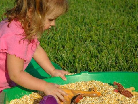 Image for Outdoor Dinosaur Sensory Bin