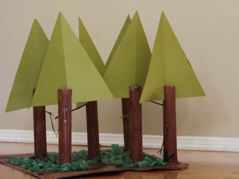 Image for California Redwood Forest Craft