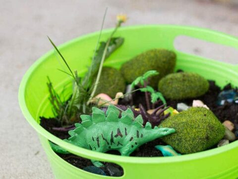 Image for Dinosaur "Fairy" Garden