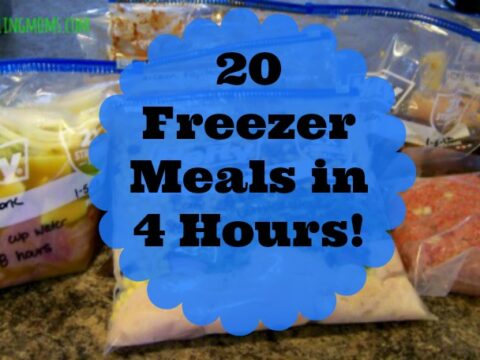 Image for 20 Freezer Meals in 4 Hours