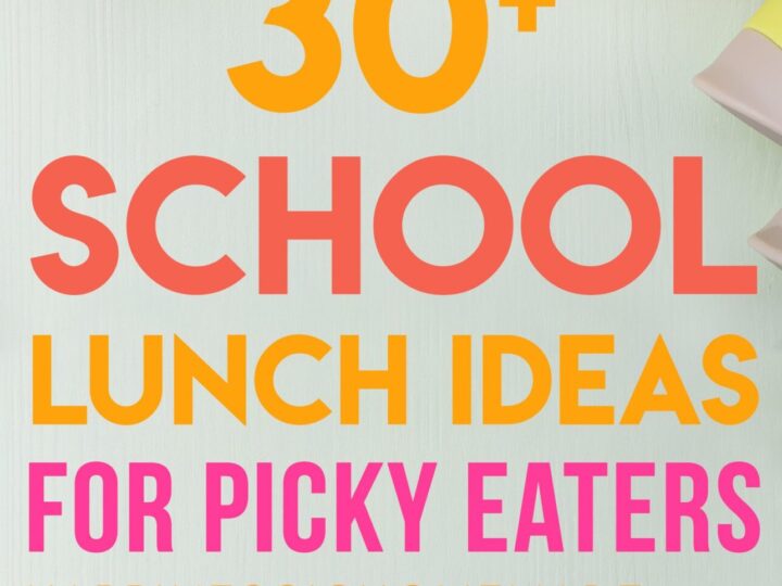 Image for 30+ School Lunch Ideas for Picky Eaters