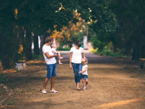 Image for 7 Questions to Unite Parents