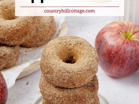 Image for Applesauce Donuts