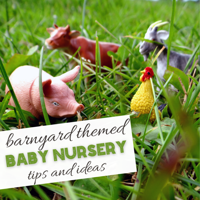 Barnyard Themed Nursery Ideas