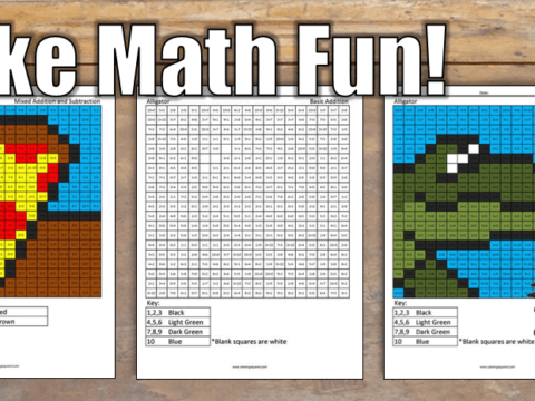 Image for Pokemon Addition and Subtraction