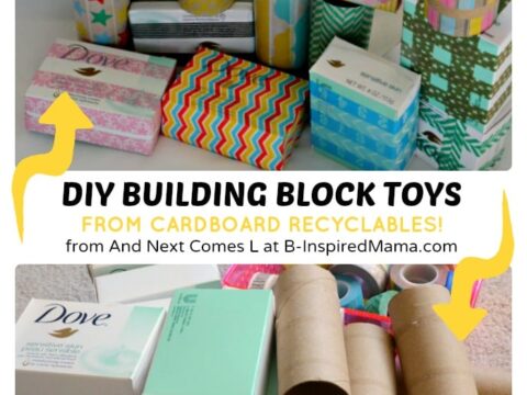 Image for DIY Recycled Building Blocks