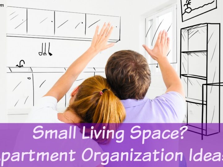 Image for Apartment Organization Ideas and Storage Solutions