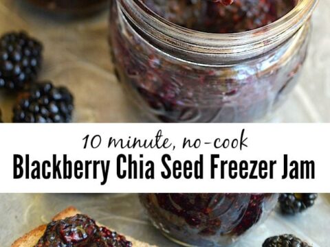 Image for Chia Seed No Cook Blackberry Freezer Jam Recipe