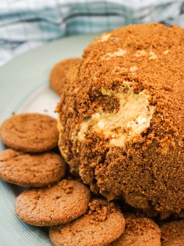 closeup of a pumpkin spice cheese ball