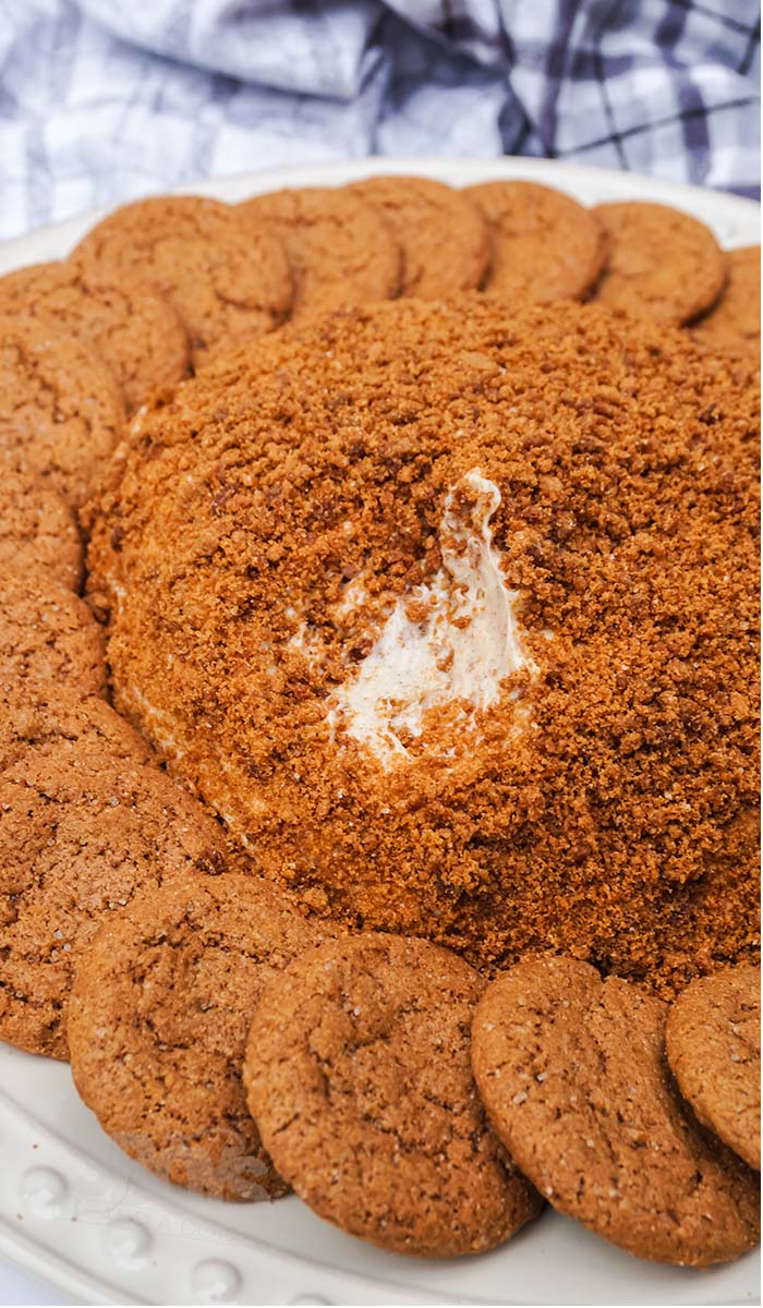 closeup of a gingerbread cheese ball served with cookies
