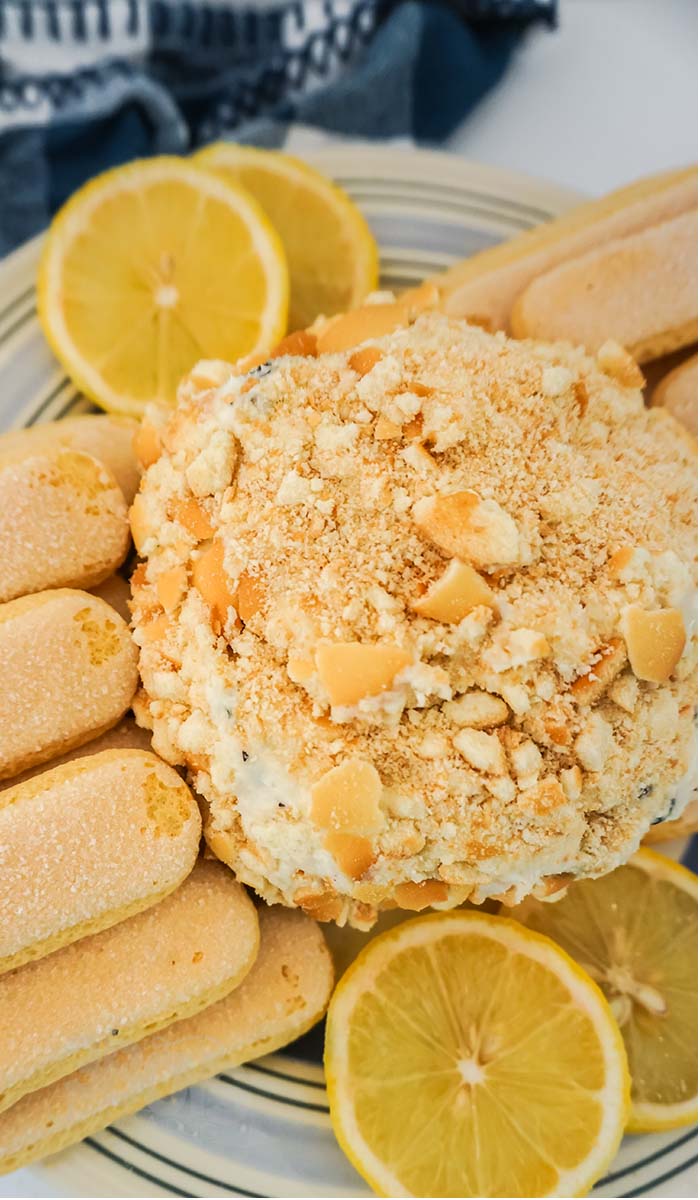 lemon blueberry cheese ball served with lady finger cookies