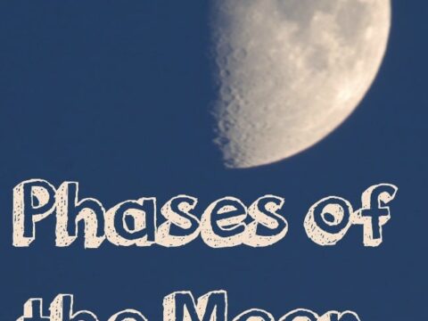Image for Phases of the Moon Free Printable