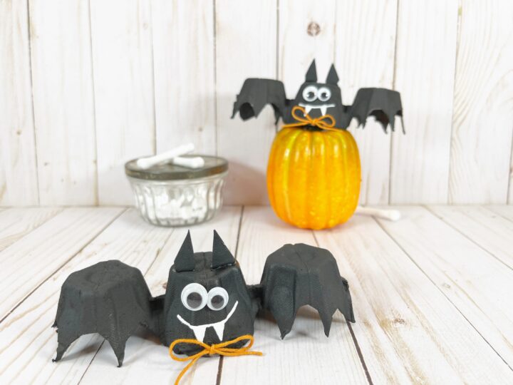 Image for Egg Carton Bat Craft