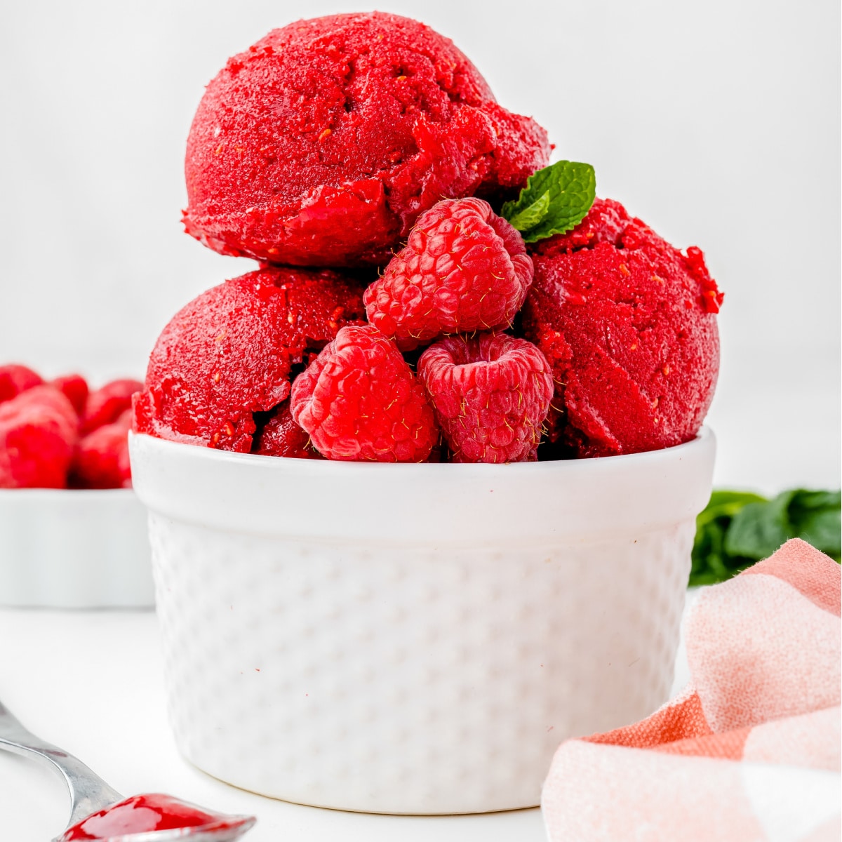 Raspberry sorbet