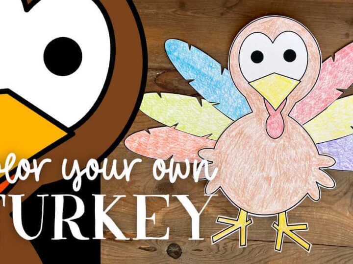 Image for Turkey Coloring Activity