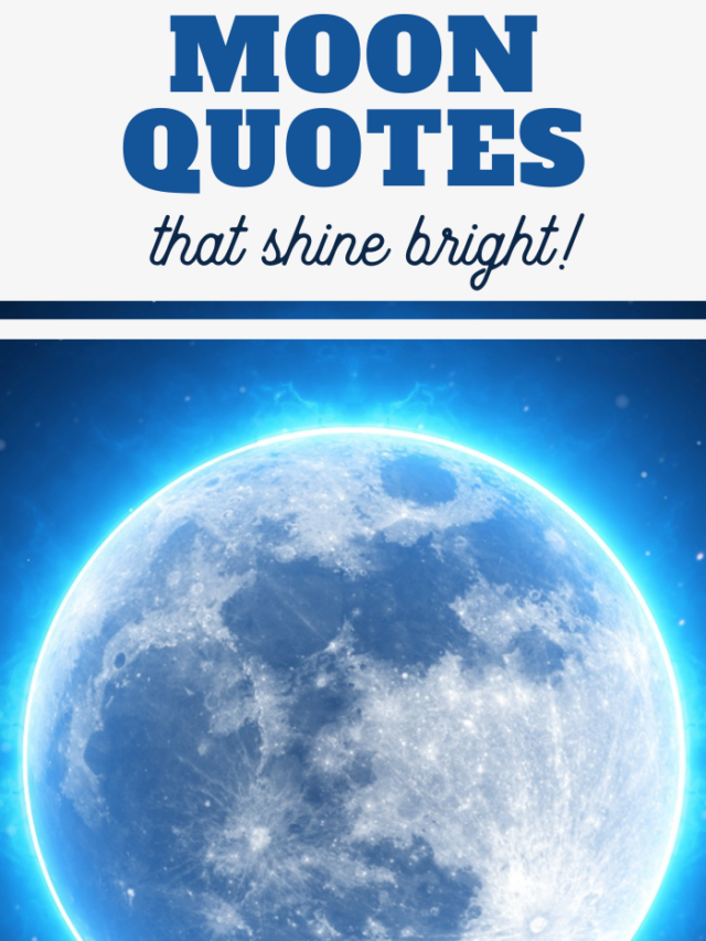 shining bright moon quotes 1