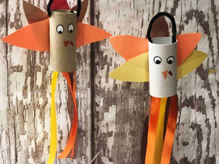 Image for Turkey Ribbon Craft