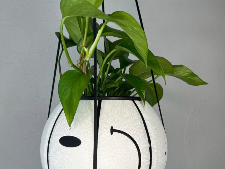 Image for Plantsketball