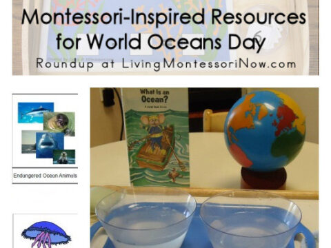 Collage of Montessori-inspired ocean activities: a math tray with fish-shaped crackers, a tray with a globe and book titled What is an Ocean?, and a diagram featuring sea animals like jellyfish and krill.