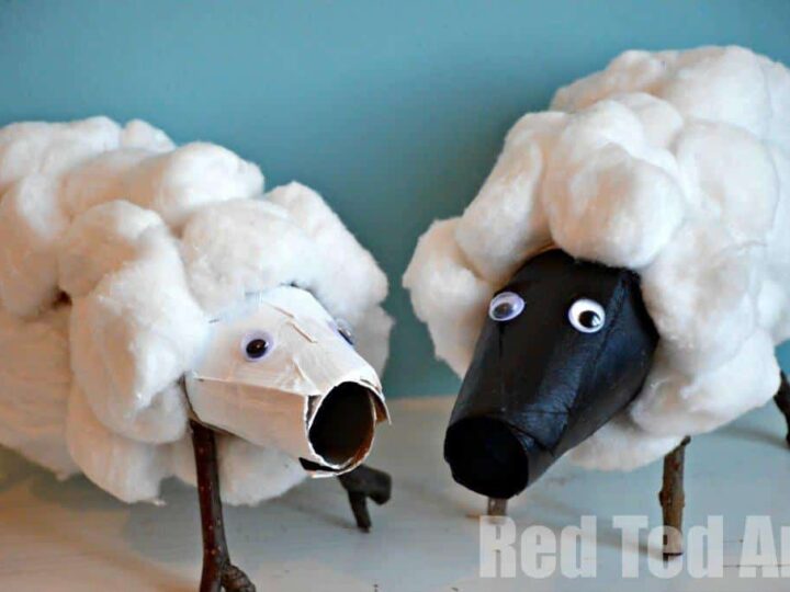 Two sheep crafts made from recycled materials. The sheep bodies are covered in white cotton balls, with faces made from painted cardboard tubes and googly eyes. They stand on twig legs against a blue background. Red Ted Art text is in the corner.