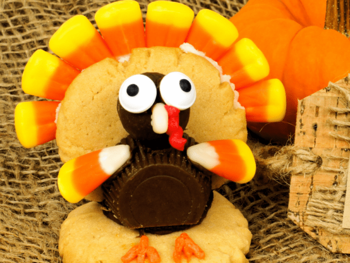 A Thanksgiving-themed turkey dessert made with cookies, candy corn, chocolate, and frosting sits on burlap. A small pumpkin is in the background.