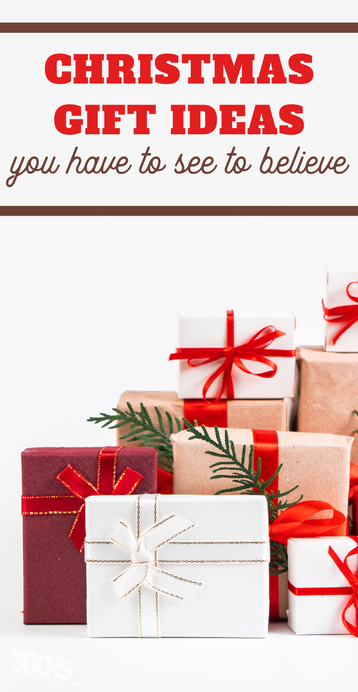 Holiday Gift Ideas for Everyone on your List - 3 Boys and a Dog