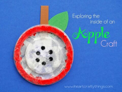 A creative apple craft made from a paper plate with a red border, simulating an apple slice. It has seeds and a brown stem with a green leaf. Text reads Exploring the inside of an Apple Craft. Website: iheartcraftythings.com.