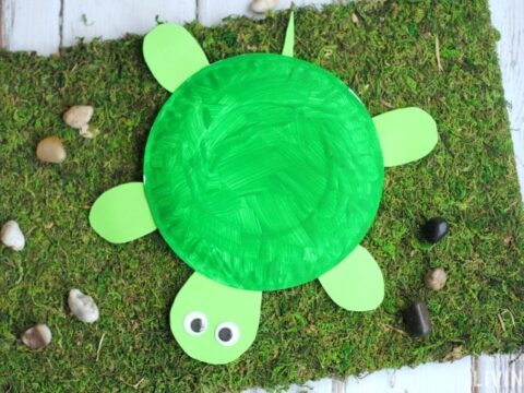 A craft turtle made from a green painted paper plate and construction paper, with googly eyes, is displayed on a patch of moss with small rocks around it.