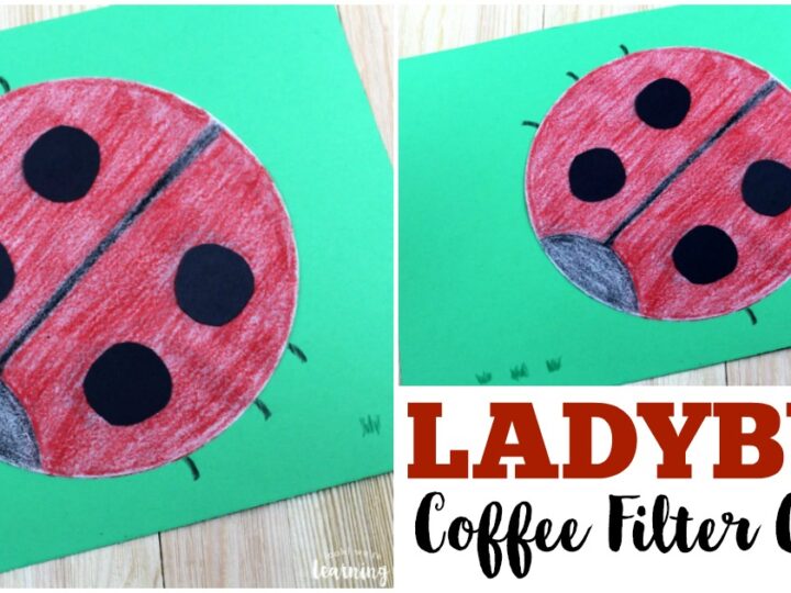 A ladybug craft made from a coffee filter is displayed on green paper. The ladybug is colored red with black spots and a black head, featuring small black antennae. Text reads, LADYBUG Coffee Filter Craft.