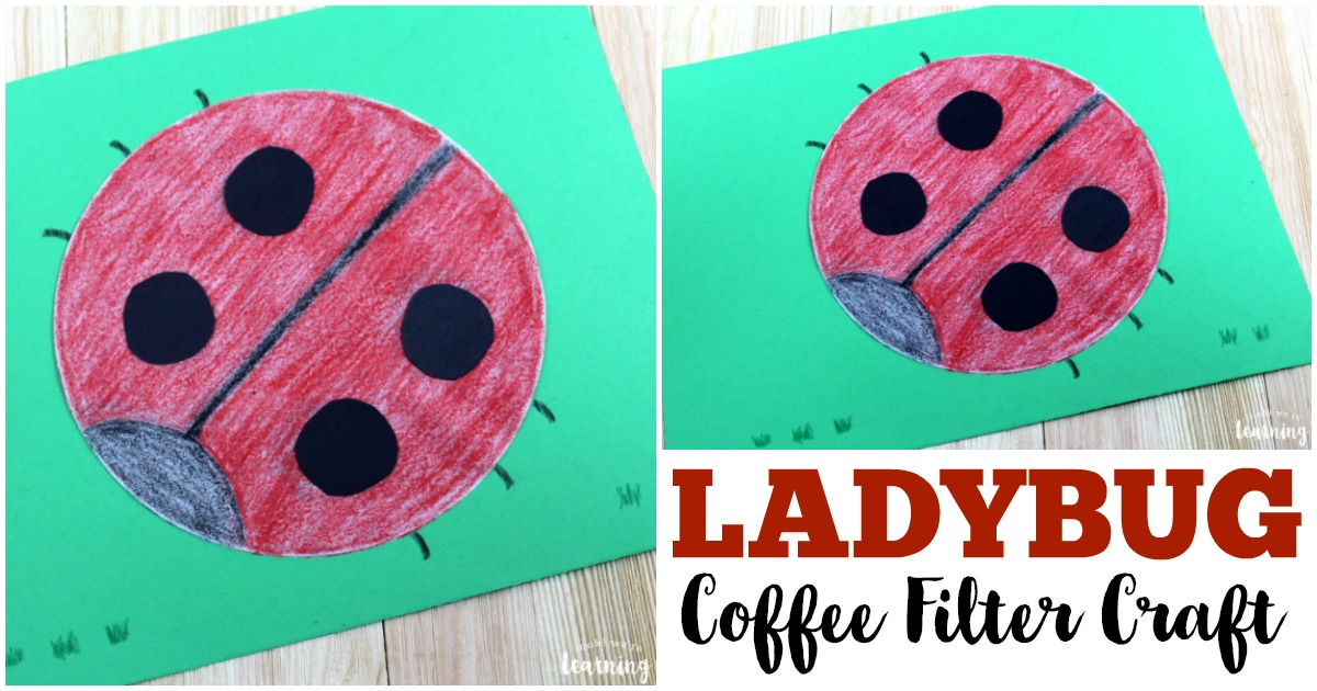 A ladybug craft made from a coffee filter is displayed on green paper. The ladybug is colored red with black spots and a black head, featuring small black antennae. Text reads, LADYBUG Coffee Filter Craft.
