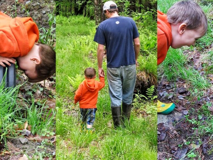 A child in an orange hoodie leans over a pipe in a forest. In another image, the child walks with an adult on a grassy path, and in the third, the child curiously observes something on the ground covered with leaves.