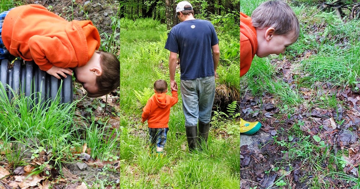 A child in an orange hoodie leans over a pipe in a forest. In another image, the child walks with an adult on a grassy path, and in the third, the child curiously observes something on the ground covered with leaves.