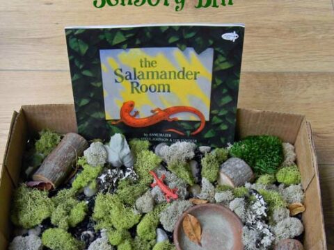 A sensory bin inspired by The Salamander Room book. The box contains moss, rocks, logs, a salamander toy, and tree figurines, with the book standing upright in the background. The wooden floor serves as the background.