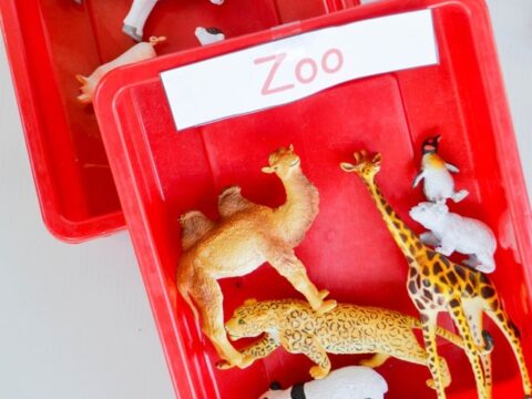 Red trays filled with toy animals, including a cow, camel, giraffe, panda, leopard, and a white rodent. A paper with Zoo is on top of one tray.