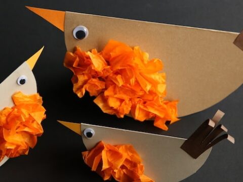 Three craft paper birds with googly eyes and fluffy orange tissue paper chests against a dark background. The birds have triangular orange beaks and brown tails.