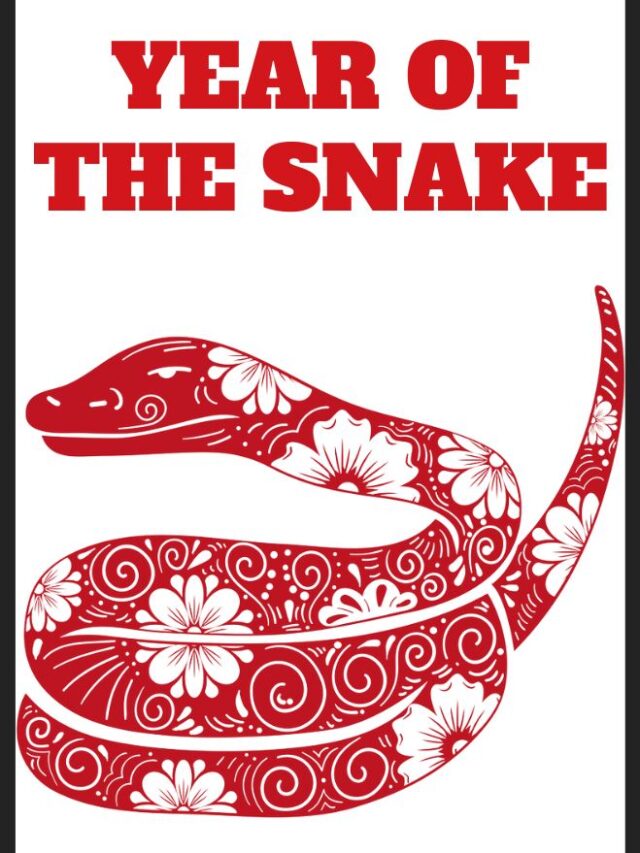 A vibrant red and white illustration of a snake adorned with floral patterns is featured. Bold red text above proclaims YEAR OF THE SNAKE. Perfect for introducing fun kids activities related to this theme.