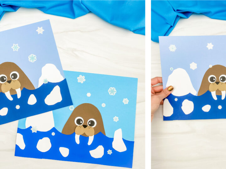 Two handmade craft images of walruses in icy water, using blue, white, and brown paper. Each walrus has googly eyes and tusks, surrounded by paper snowflakes. A hand holds one of the crafts against a white surface.