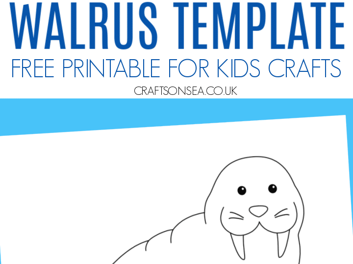 Illustration of a walrus on a printable template for kids crafts. The walrus is sketched in black and white with prominent tusks. Multiple template versions are shown with text reading Walrus Template Free Printable for Kids Crafts at the center.