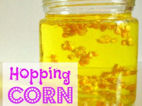 A jar filled with yellow liquid and floating popcorn kernels. The label reads Hopping Corn in purple and white text with a playful font.