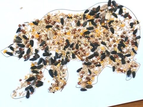 Silhouette of a bear filled with assorted bird seeds, including black sunflower seeds and grains, on a white paper background. It sits on a wooden surface.