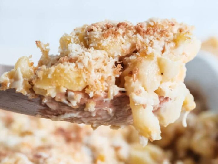 A wooden spoon holds a serving of creamy macaroni and cheese, topped with a golden breadcrumb crust. The dish is in the background, partially visible, showcasing the baked cheesy texture and crumb topping.