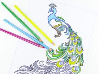 Coloring page with a detailed peacock drawing partly colored. Four colored pencils—pink, purple, yellow, and green—lie beside it. The birds tail features intricate patterns with colors partially filled in.