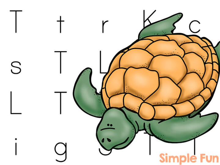 Illustration of a brown and green turtle amidst scattered uppercase and lowercase letters on a white background. Text at the bottom right reads Simple Fun for Kids.