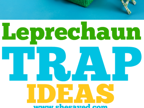 A vibrant green box adorned with shamrocks and a small ladder, showcasing gold coins and a rainbow slide graces the cover. The text reads Leprechaun Trap Ideas alongside a website URL. A whimsical blue background sets the stage for fun leprechaun crafts.